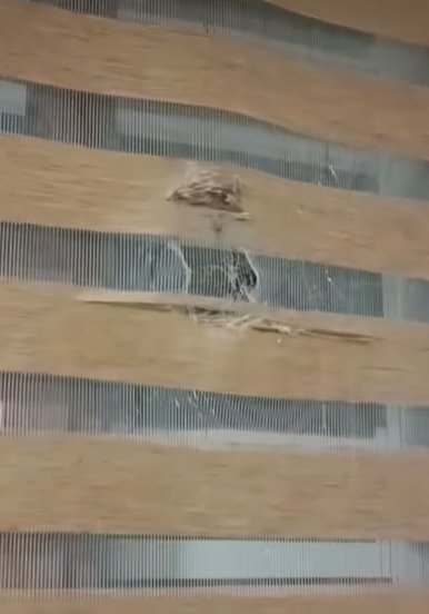Bayburt'un Akşar köy derneğine silahlı saldırı